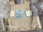 画像12: 希少！米軍実物 PRE-MSA PARACLETE RAV PLATE CARRIER デザートタン (12)