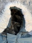 画像3: 米軍実物 PARKA, EXTREME COLD WEATHER, TYPE N-3B　M (3)