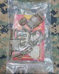 画像24: 米軍海兵隊実物  USMC PACK FILBE   EAGLE メインパック　MYSTERY RANCH コヨーテ (24)